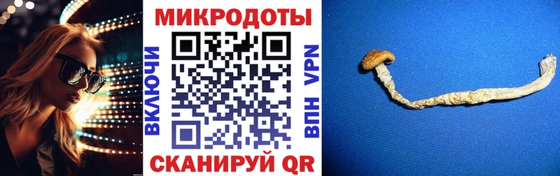 Псилоцибиновые грибы Psilocybine cubensis  наркошоп  Лихославль 